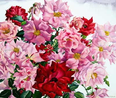 Rode en roze rozen door Christopher Ryland