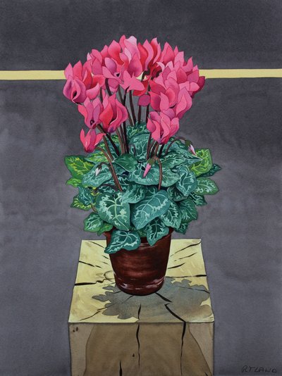Stilleven Cyclamen door Christopher Ryland