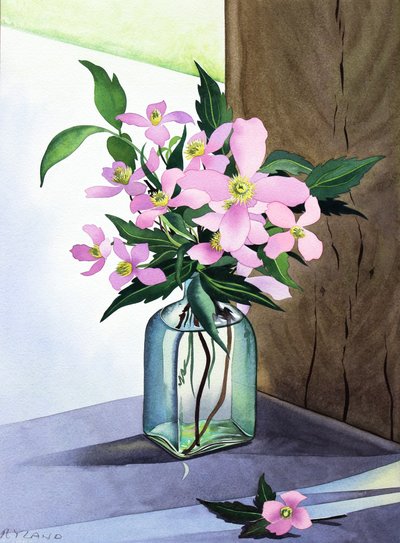 Stilleven met roze clematis door Christopher Ryland