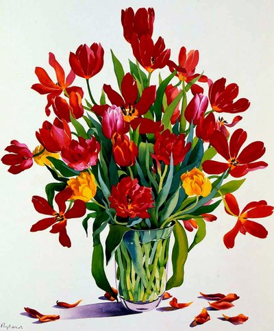 Tulpen door Christopher Ryland
