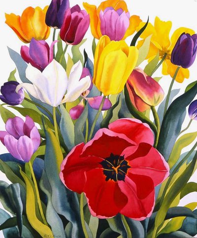Tulpen, 2007 door Christopher Ryland