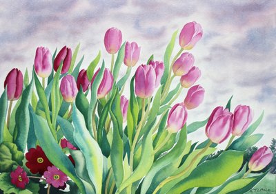 Tulpen bij raam door Christopher Ryland