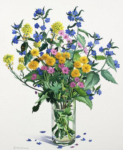 Wilde Bloemen met Alkanet door Christopher Ryland