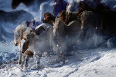 Etherische wilde paarden door Chuanxu Ren