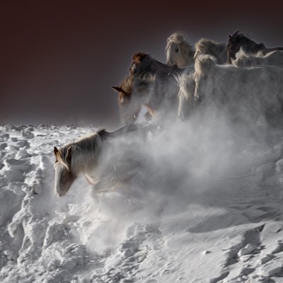 Galopperende sneeuwhorses door Chuanxu Ren