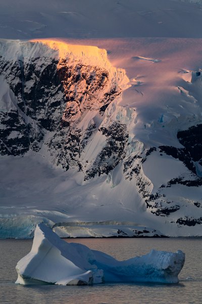 Golden Antarctic Peak door Chuanxu Ren