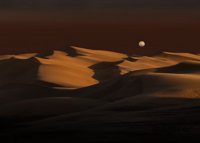 Maan boven de gouden duinen door Chuanxu Ren