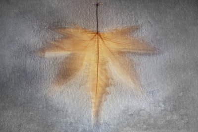  door Cicek Kiral