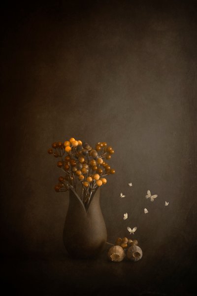  door Cicek Kiral
