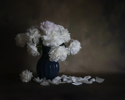 Stilleven met witte pioenrozen door Cicy Chen