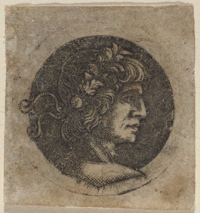 Hoofd van een Romeinse Keizer door Circle of Francesco Francia
