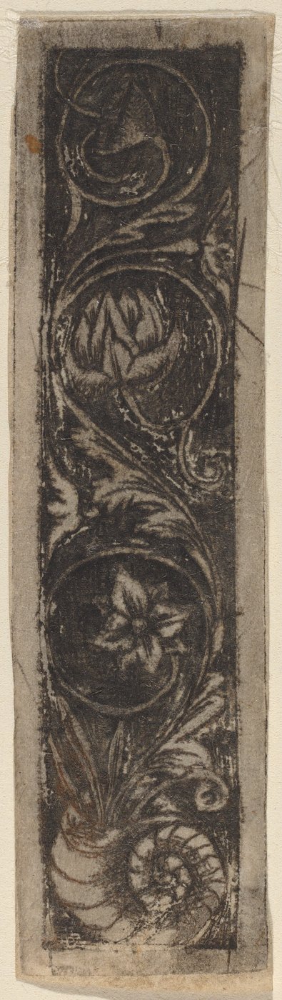 Langwerpig Ornament Paneel door Circle of Francesco Francia