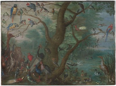 Concert van vogels door Circle of Jan van Kessel the Elder