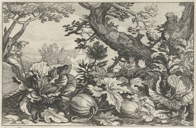 Landschap met pompoenen en kolen door Claes Jansz. Visscher (II)