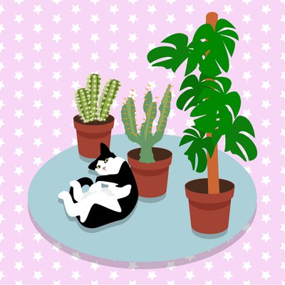 De Kat en de Cactussen door Claire Huntley
