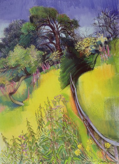 Midzomer door Claire Spencer