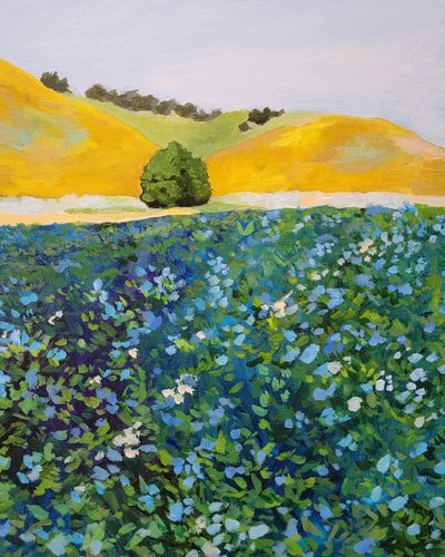  door Claire Whitehead