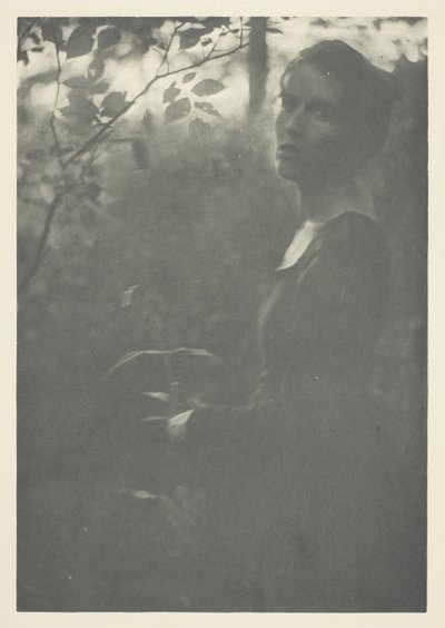 Rand van het Bos door Clarence H. White