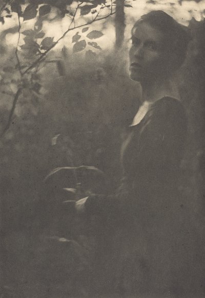 Rand van het bos, avond, 1900 door Clarence H White