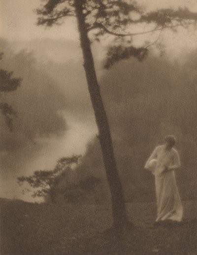 Ochtend door Clarence H. White