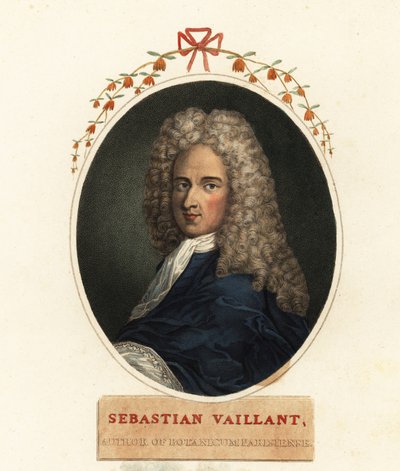 Portret van Sebastian Vaillant, Franse botanicus door Claude Aubriet