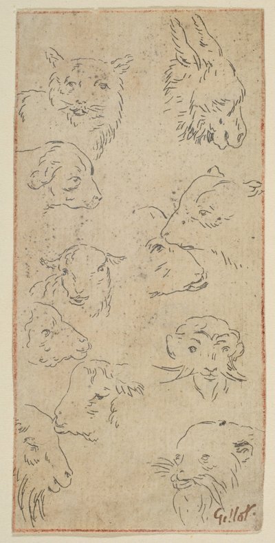 Studie van dierenhoofden door Claude Gillot