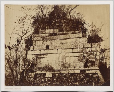 Paleis van het Circus in Chicen-Itza (bas-reliëf van tijgers) door Claude Joseph Désiré Charnay