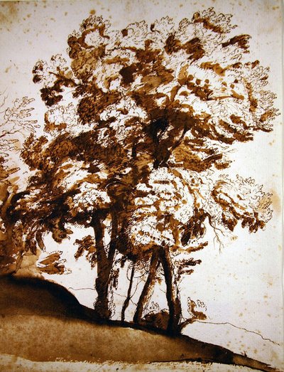 Een groep bomen in zonlicht door Claude Lorrain