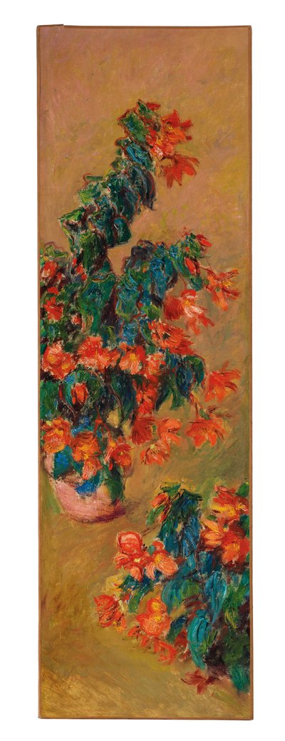 Rode azalea
