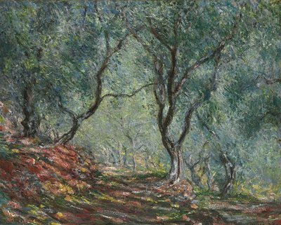 Olijfbomen in de tuin Moreno, 1884 door Claude Monet