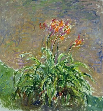 Hemerocallis, 1914-17 door Claude Monet