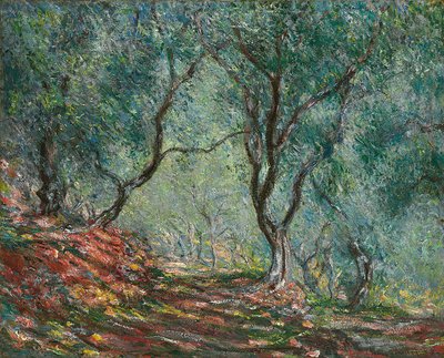 Olijfbomen in de Moreno-tuin, 1884 door Claude Monet