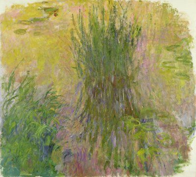 Waterlelies door Claude Monet