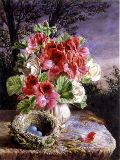 Gloxinia en Vogelnest door Claude Ryan