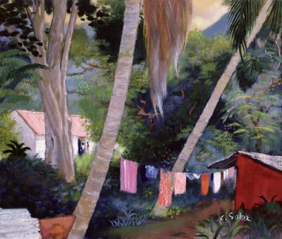 Wasgoed Drogen, Guadeloupe door Claude Salez