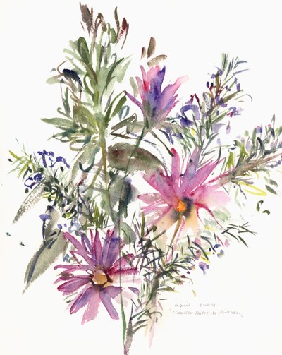 Flora, Zuid-Afrikaanse madeliefjes en lavendel, 2004 door Claudia Hutchins Puechavy