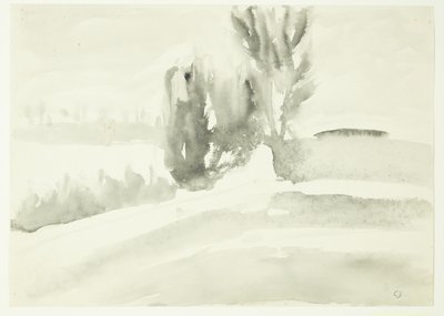 Landschap met bomen door Claus Johansen