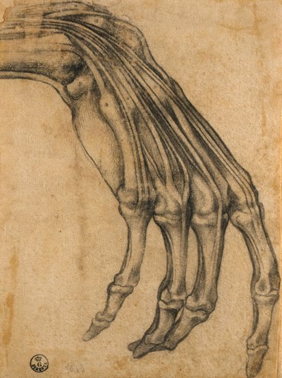 Anatomische Studie van een Hand door Clemente Bandinelli