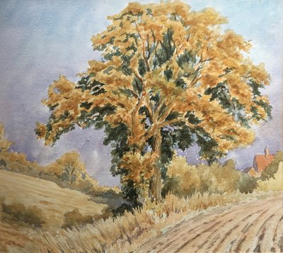 Oogst zonsondergang, Noord-Denford door Clive Wilson
