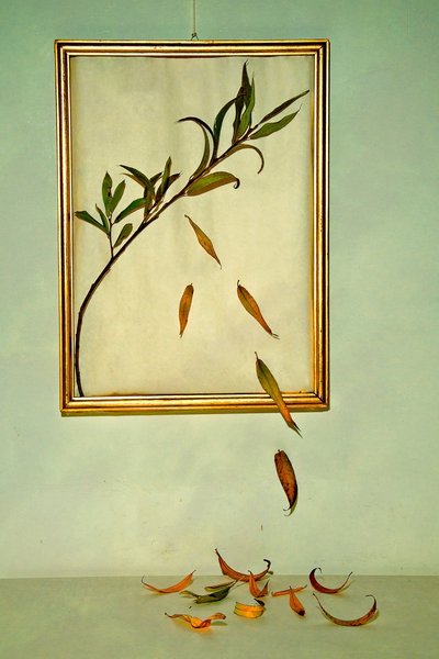  door Codruta Georgescu