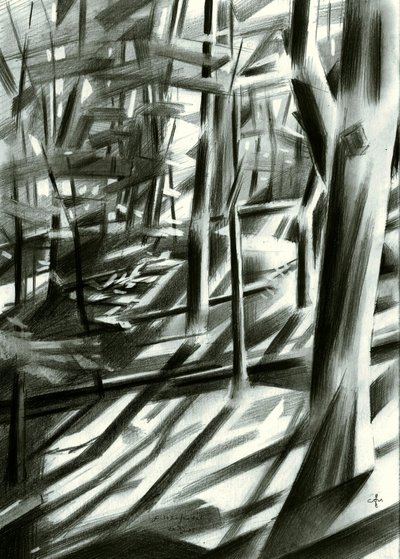 Abstracte bosschaduwen door Corné Akkers