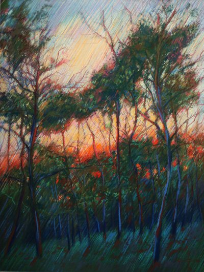 Gloed bij zonsondergang in het bos door Corné Akkers