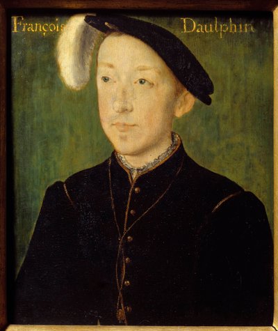 Portret van Karel van Frankrijk, Hertog van Orléans (1522-1545) (misschien de 3e zoon van François I). Houtsnede door Corneille De Lyon (Corneille de Den Haag) (1500/1510-1574) 16e eeuw. Bayonne, Musee Bonnat door Corneille de Lyon