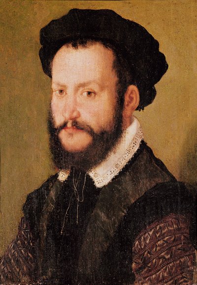 Portret van een Man met Bruin Haar, ca. 1560 door Corneille de Lyon