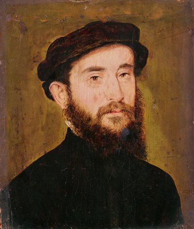 Portret van een onbekende man door Corneille de Lyon