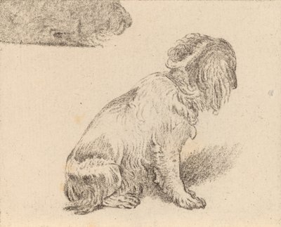 Zittende Hond, 1777 door Cornelis Brouwer
