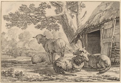 Schapenkooi door Cornelis Brouwer