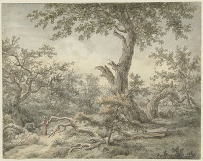 Boslandschap door Cornelis Buys