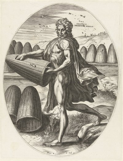 Aristaeus door Cornelis Cort