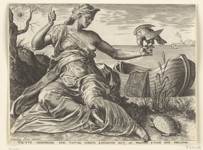 Het gevoel door Cornelis Cort